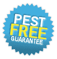 pest free Guarantee